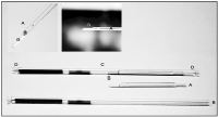 Abbildung 3a: Device for aseptic vitrification