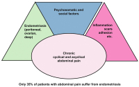 Abbildung 4: Chronic abdominal pain