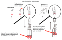 Abbildung 1: Sperm preparation