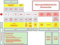 Abbildung 5: Normoprolaktinämischer Amenorrhoe
