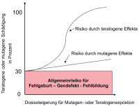 Abbildung 1: Risikoermittlung