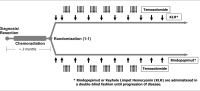 Figure 1: ACT IV
