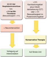 Abbildung 6: Schlaganfall-Behandlungsalgorithmen