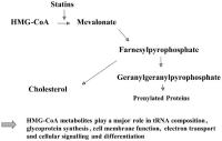Figure 1: Statine - Wirkungen