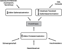 Abbildung 3: Gallensteinentstehung
