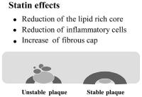 Figure 4: Plaquestabilisierung