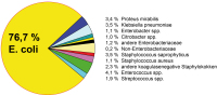 Abbildung 1: Phytotherapie-Harnwegsinfektion