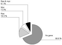 Figure 2: Genexpression - Atherosklerose