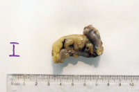 Abbildung 2: Appendix