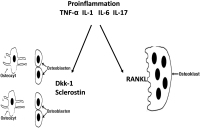 Abbildung 1: Osteologische Regulationssysteme