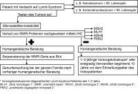 Abbildung 1: Lynch-Syndrom
