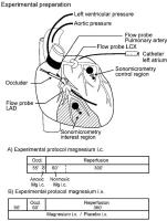 Figure 1: Magnesium - intrakoronar - intravenös