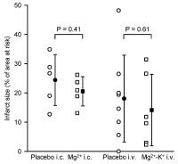 Figure 6: Magnesium - Infarktgröße