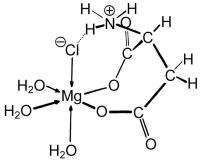 Figure 1: Magnesium-L-Aspartat - Strukturformel