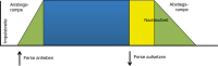 Abbildung 2: Stimulationsparameter