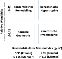 Abbildung 3: Linksventrikuläre Geometrie