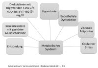 Abbildung 1: Metabolisches Syndrom