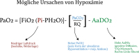 Abbildung 4: Alveolargasgleichung