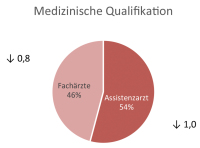 Abbildung 3: Medizinische Qualifikation