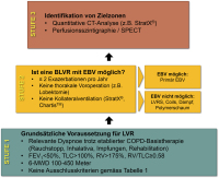 Abbildung 1: BLVR