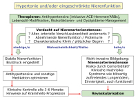 Abbildung 2: Renovaskuläre Hypertonie