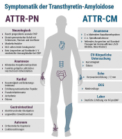 Abbildung 1: ATTR-Amyloidose
