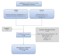 Abbildung 1: Systematisierte Literaturrecherche