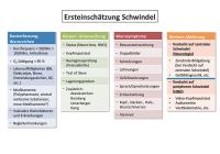 Abbildung 1: Ersteinschätzung Schwindel