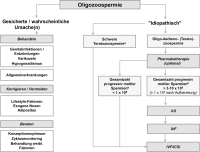 Abbildung 1: Oligozoospermie