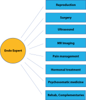 Abbildung 1: Endometriosis expert