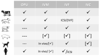 Abbildung 1: In-vitro-Produktion (IVP)