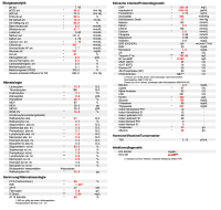 Abbildung 2: Blutgasanalyse und Laborwerte