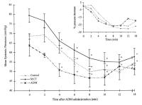 Figure 1: Adrenomedullin - Blutdruck