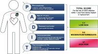 Abbildung 1: PADIT-Score