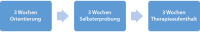 Abbildung 1: Therapieturnus