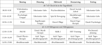 Abbildung 2: Therapieplan
