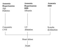 Figure 1: Kardiomyopathie - Dialyse