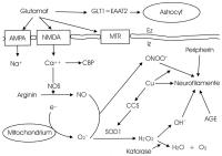 Abbildung 1: Amyotrophe Lateralsklerose