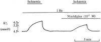 Figure 1: Kalium - Ischämie