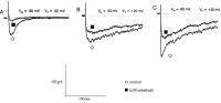 Figure 3A-C: Kalziumkanal - Mibefradil