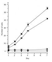 Figure 6: Kalziumkanal - Mibefradil