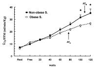 Figure 5: Sauerstoffverbrauch - Adipositas