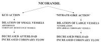 Figure 1: Nicorandil - Wirkmechanismus