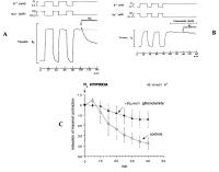 Figure 5A-C: Koronararterie - Dilatation