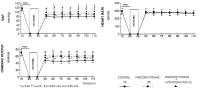 Figure 3: Preconditioning - koronare Mikrozirkulation