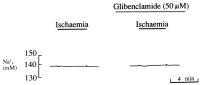 Figure 5: K-Efflux in Koronararterien