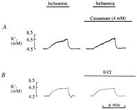 Figure 8A-B: K-Efflux in Koronararterien