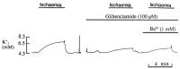 Figure 9: K-Efflux in Koronararterien