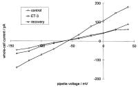 Figure 3: VEGF und ET-3 - Gefäßpermeabilität