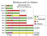 Abbildung 2: Herzrhythmus - Zeitlicher Verlauf